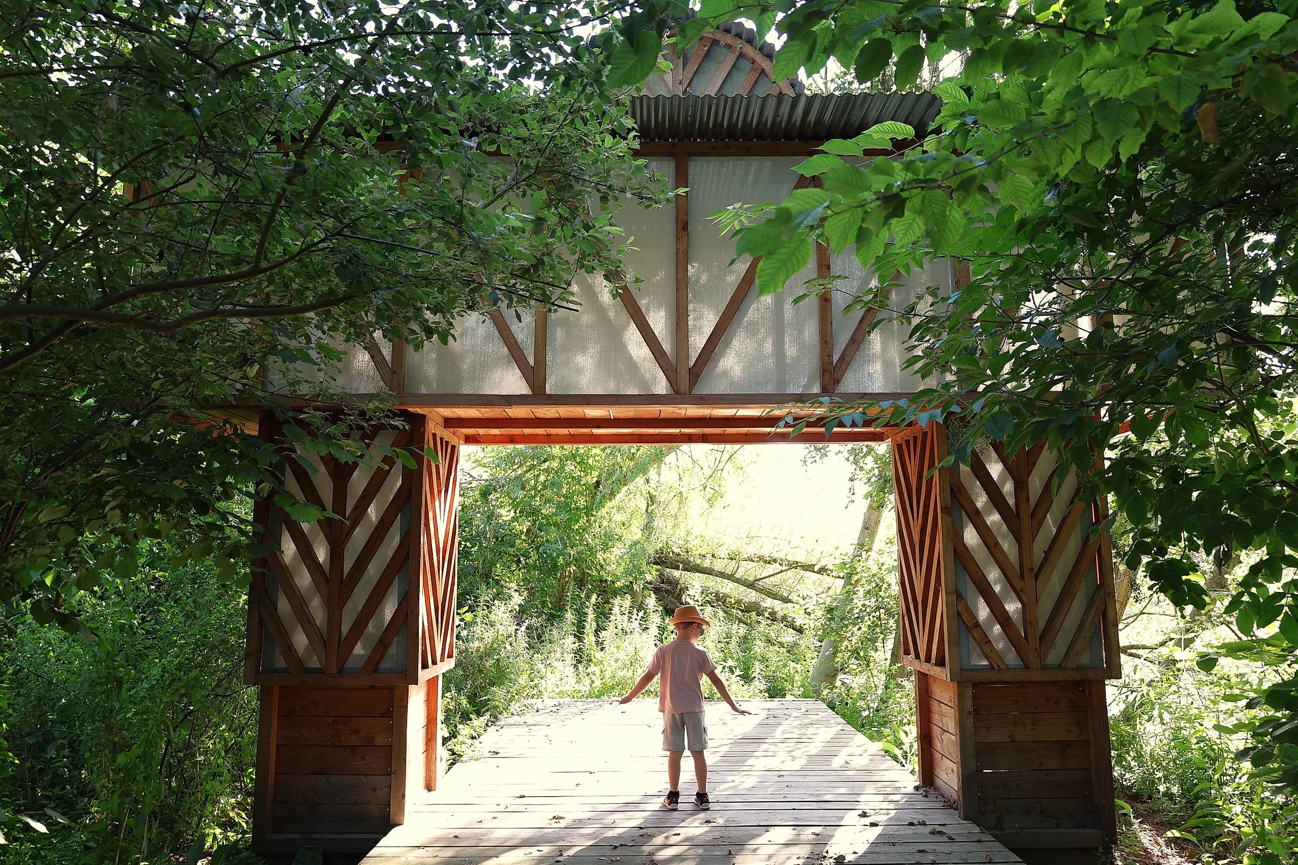Un enfant debout sous une arche en bois au cœur d'une forêt lumineuse.